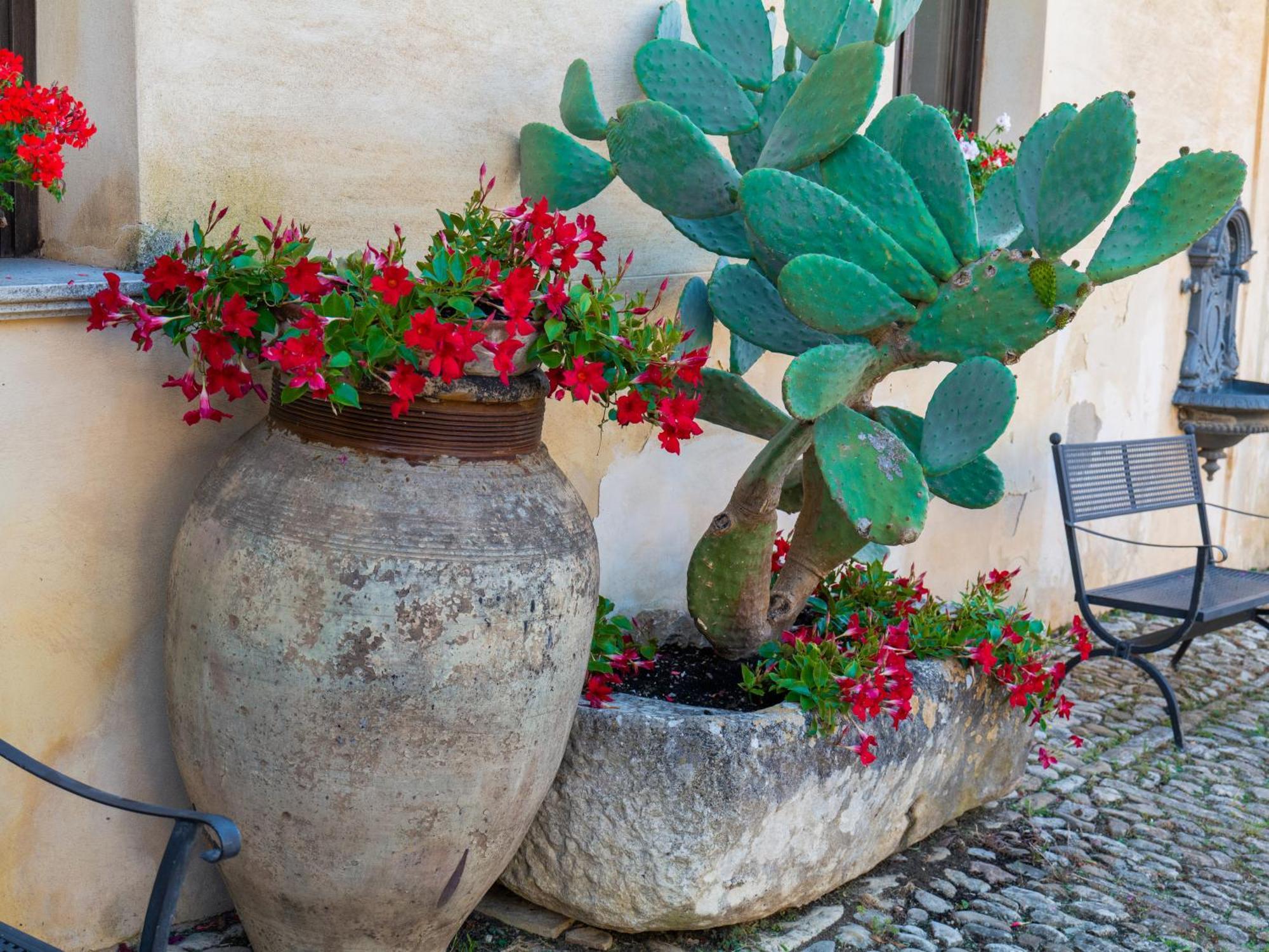 Agriturismo Baglio Fontana Бузето-Палиццоло Экстерьер фото